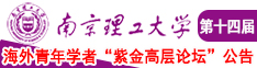 日韩插逼南京理工大学第十四届海外青年学者紫金论坛诚邀海内外英才！